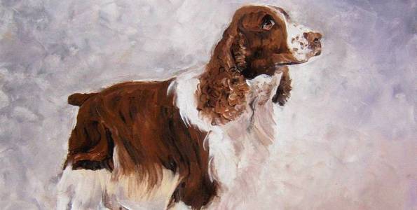 ENGLISH SPRINGER SPANIEL . huile couteau