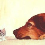 FACE A FACE . huile couteau