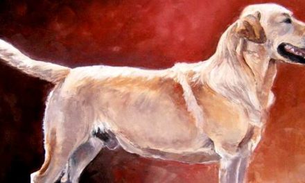 LABRADOR . huile couteau