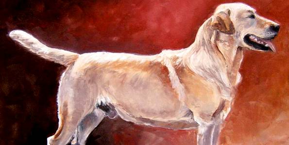 LABRADOR . huile couteau