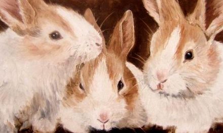 LAPINS . huile couteau