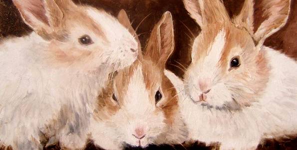 LAPINS . huile couteau