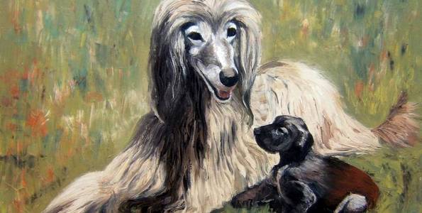 LEVRIERS AFGHAN . huile couteau