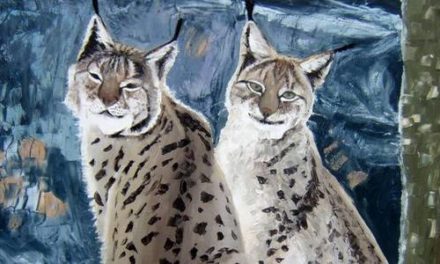 LYNX . huile couteau