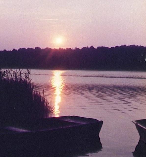 MATIN ROSE (original)