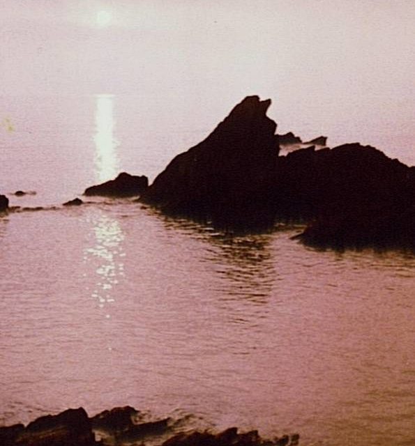 MATIN ROSE (original)