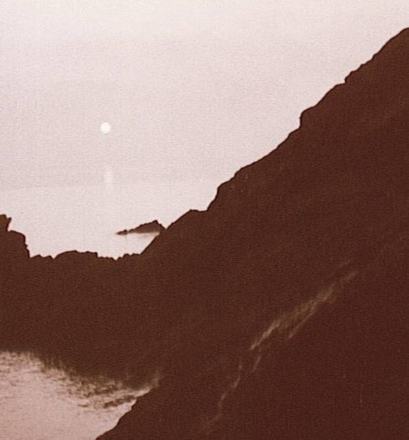 MATIN ROSE (original)