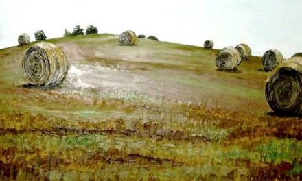 MEULES DE FOIN . huile couteau