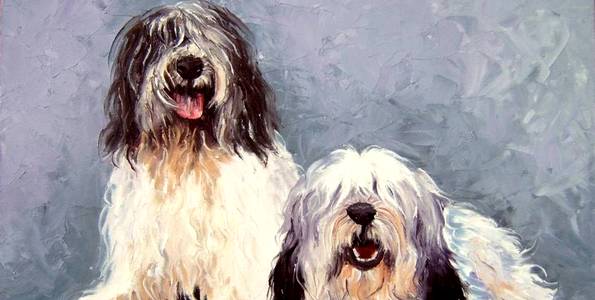 NIZINNY . huile couteau