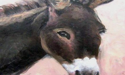 PEPITA . huile couteau