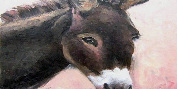 PEPITA . huile couteau