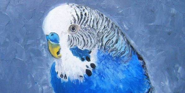 PERRUCHE BLEUE . huile couteau