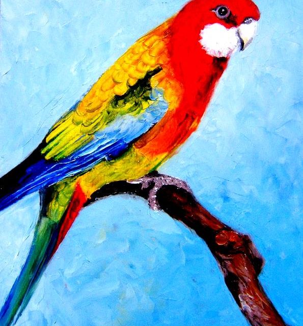 PERRUCHE MULTICOLORE (peinture)