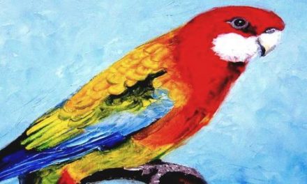 PERRUCHE MULTICOLORE . huile couteau