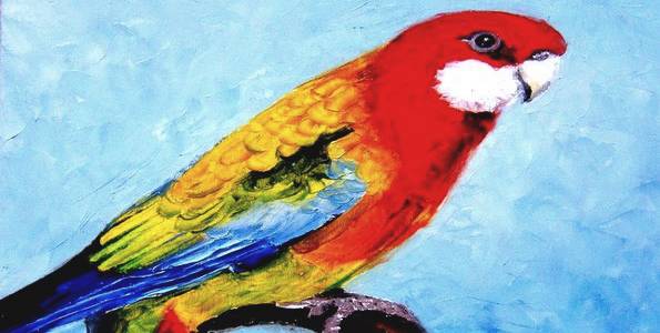 PERRUCHE MULTICOLORE . huile couteau