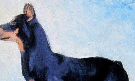 PINSCHER . huile couteau