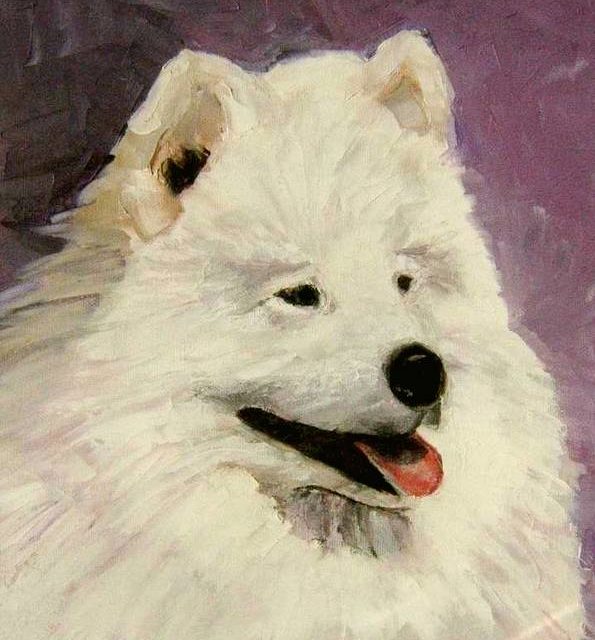 SAMOYEDE (peinture)