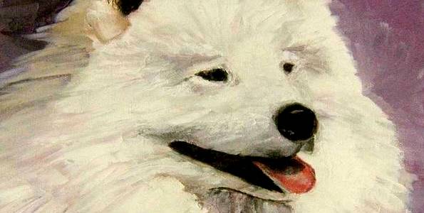 SAMOYEDE . huile couteau