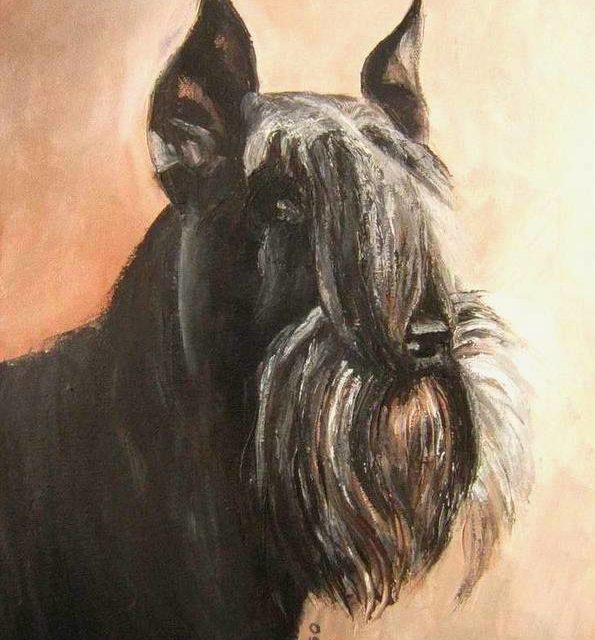 SCHNAUZER (peinture)