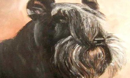 SCHNAUZER . huile couteau