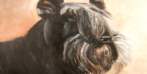 SCHNAUZER . huile couteau