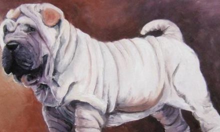 SHARPEÏ . huile couteau