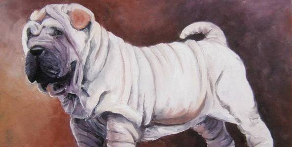 SHARPEÏ . huile couteau