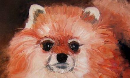 SPITZ . huile couteau