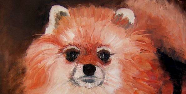 SPITZ . huile couteau