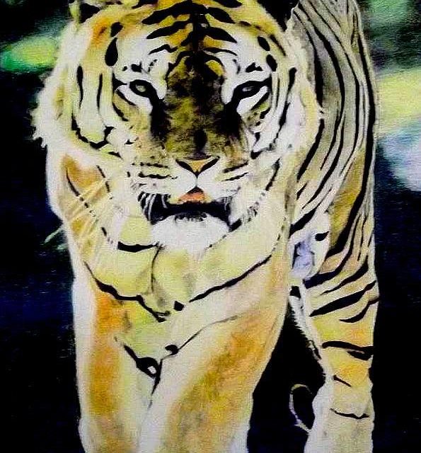 TIGRE (gouache)