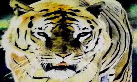 TIGRE . pastel