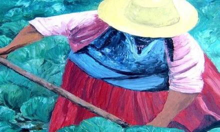 TRAVAUX AUX CHAMPS . huile couteau