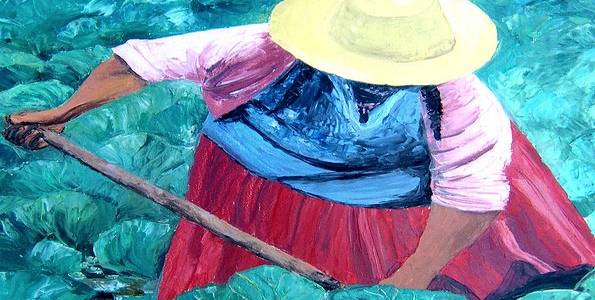 TRAVAUX AUX CHAMPS . huile couteau